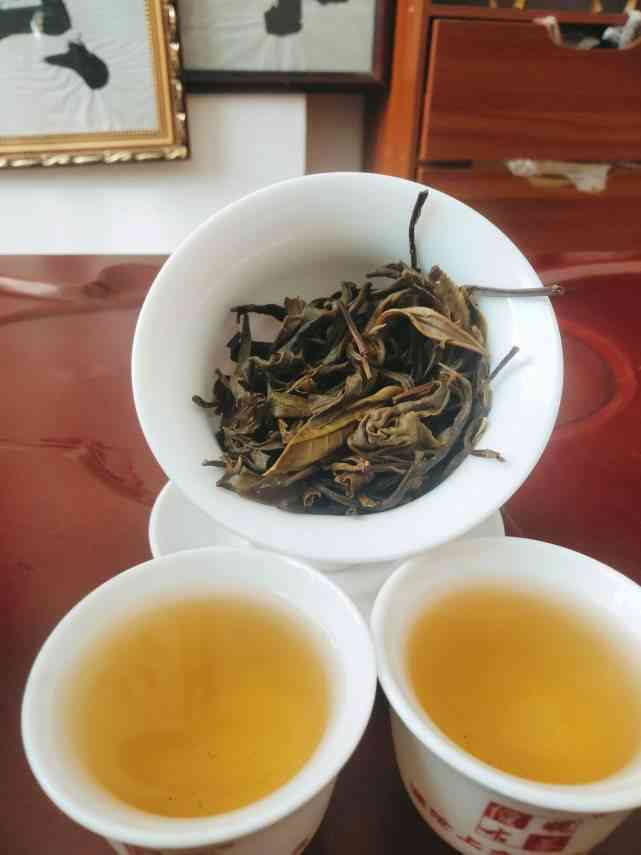 古树普洱茶一杯香茗