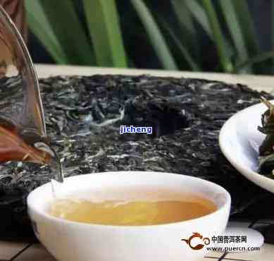 普洱茶的陈化过程：时间与香气的关系详解