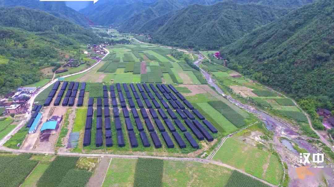 秦岭玉石产地详细介绍：探访渭南地区璀璨玉石的来源与特色