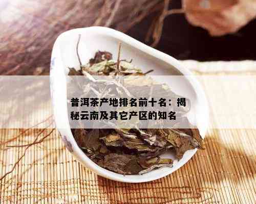 云南普洱茶推荐：全面解析各大名优茶叶，助您轻松挑选最适合的茶叶