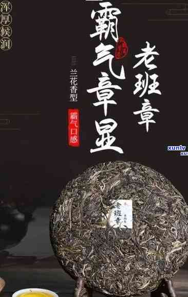 勐海班章普洱茶2006年价格汇总