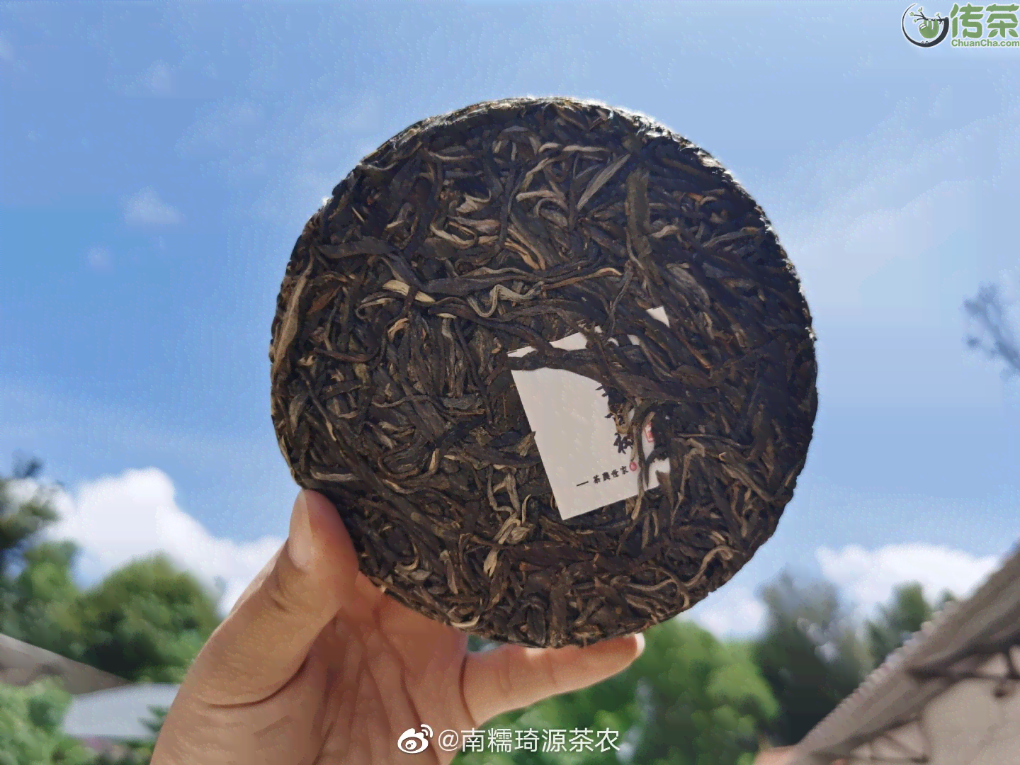 云南西双版纳勐海班章普洱茶