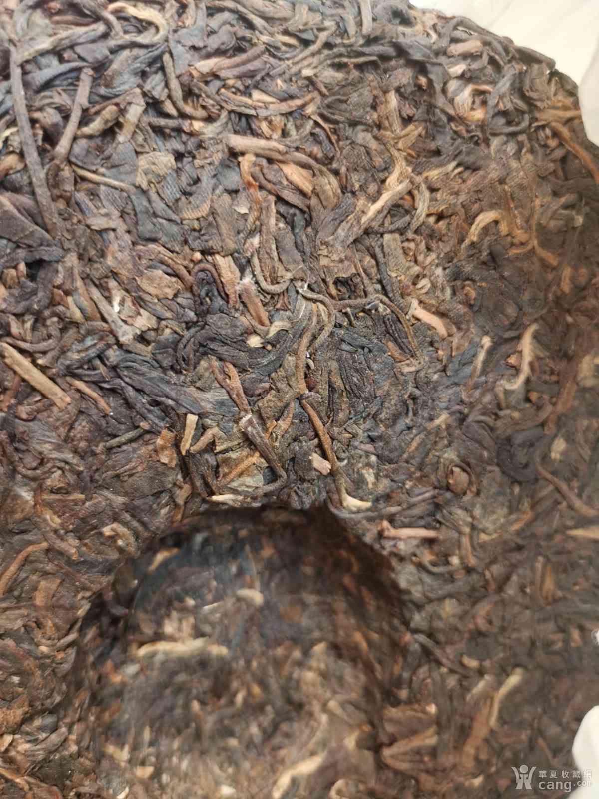 老茶普洱茶1870