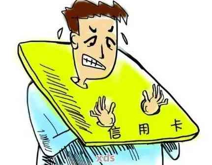 为什么信用卡没有逾期被停了：原因与解决办法