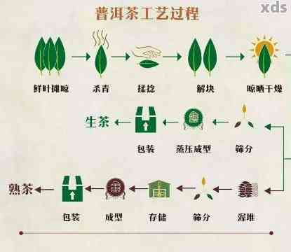 普洱茶制作方法共有几道工序