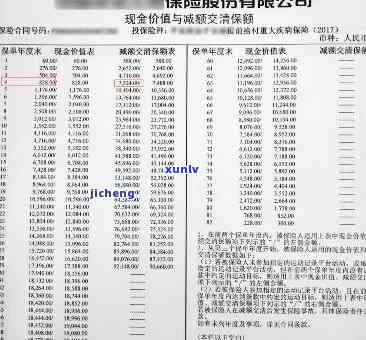 代偿还清了还会不会存在记录：信息清除与查询