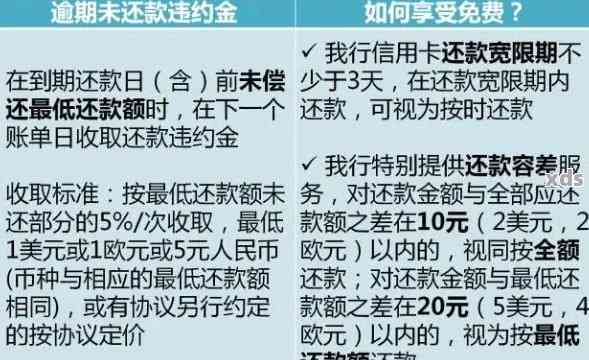 授信到期了怎么办：期业务、还款日期与立即还款