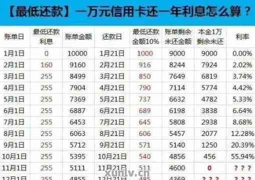 建行信用卡分期还款攻略：如何一次性还清所有款项