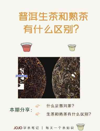 黄金叶普洱茶：生茶还是熟茶的极解析与比较