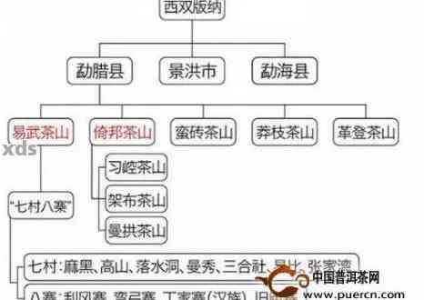 六大茶山之探索：品味普洱茶的独特魅力与品种解析