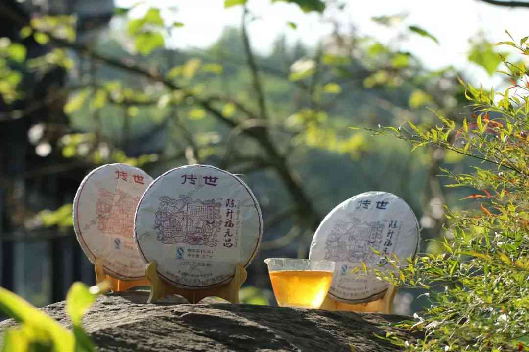 一山一味云南普洱茶