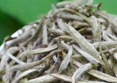 普洱茶压饼与散茶选择之道：哪个更适合您？