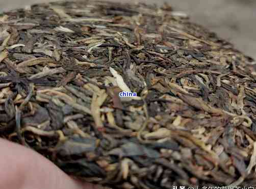 纯云南普洱茶生茶多少钱一斤：熟茶与生茶的价格比较，以及一个生茶的价格