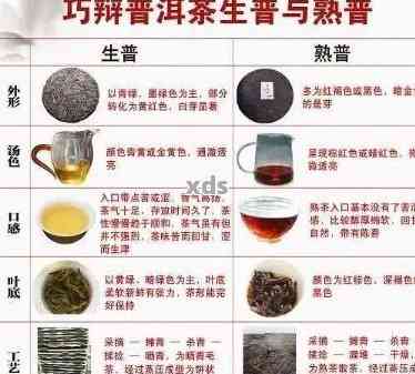 古树普洱茶与陈年普洱茶：一场味觉的辨析