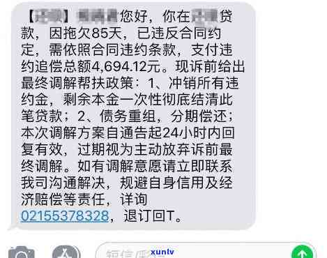 贷款逾期一天的后果：丽人贷用户应如何应对？