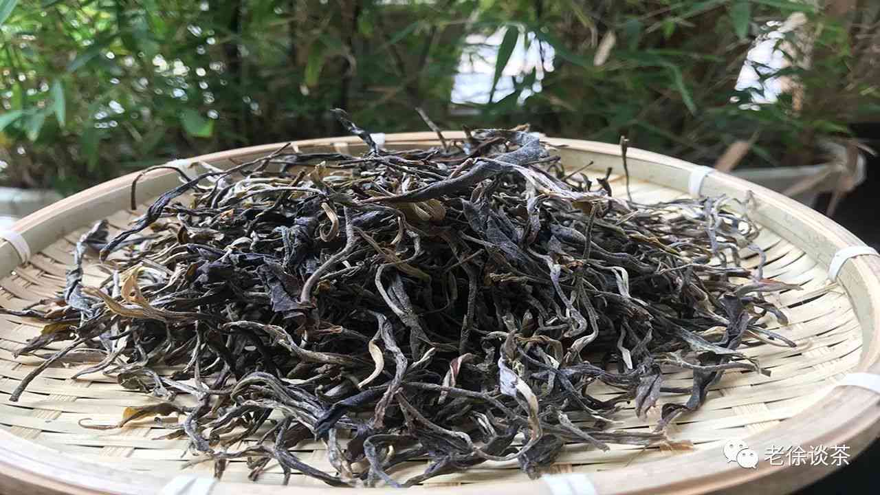 古树普洱茶高杆：一款独特魅力的茶叶体验