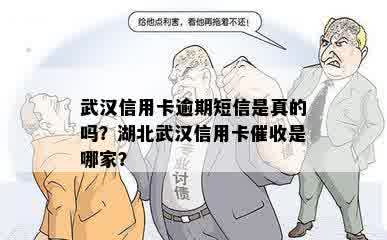 湖北武汉信用卡公司信息汇总：哪家公司更具口碑和效率？