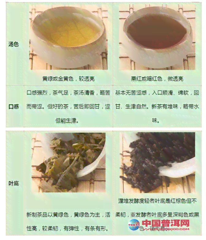 中茶普洱生熟辨别及品饮方法