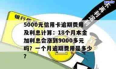 5000元信用卡逾期一个月的费用与影响：逾期费、利息及立案时间