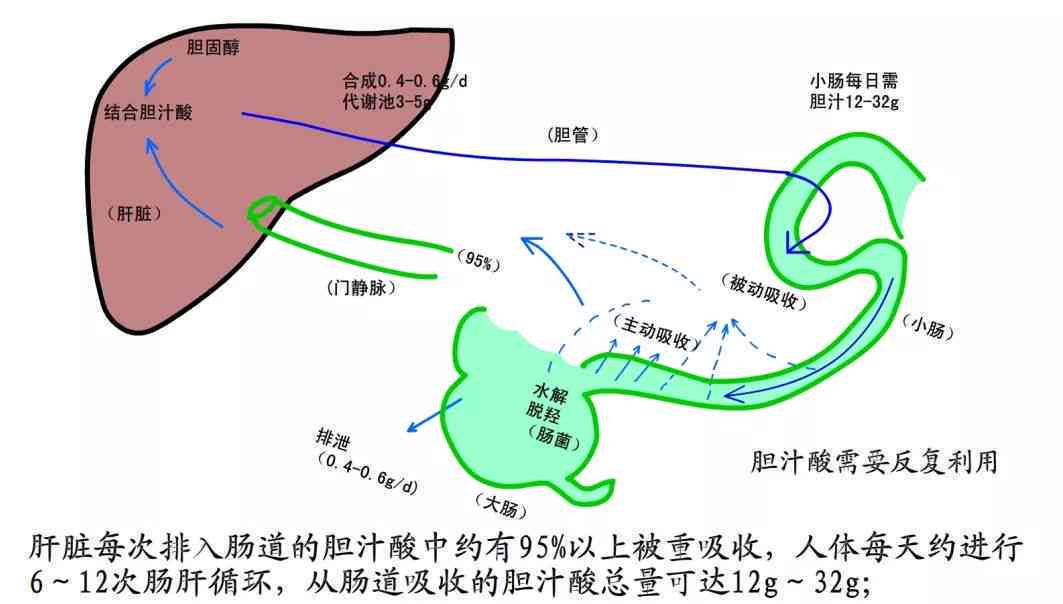 小心肝小青柑普洱茶：对心脏、肝脏的好处及养肝效果解析