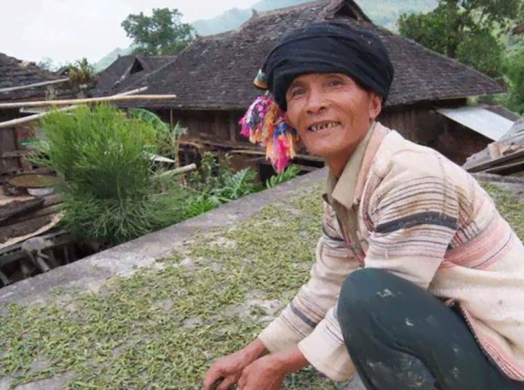 普洱茶直播带货排行榜之一名：普洱茶直播基地与直播间玩法详解