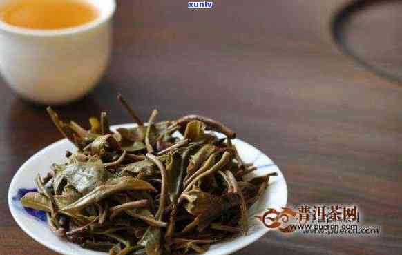 大理茶种的全面解析：品种、特点、产地及品饮方法