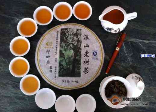 深山老树普洱茶：老同志茶的品质、制作工艺与养生价值解析