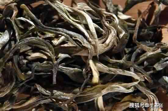 老挝古树茶与普洱茶：它们的区别、特点以及饮用效果全面解析