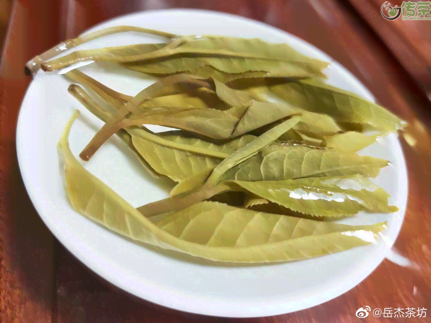 普洱茶纯料指的是只选用普洱茶树的新叶子，不添加其他物质制作的茶叶。