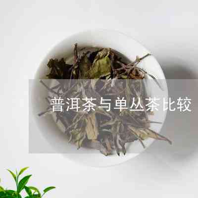 普洱茶和单丛茶对身体哪个好