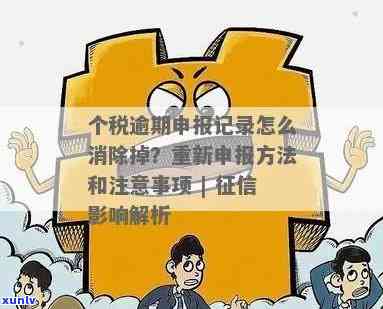 个税逾期未申报的处罚及解决办法全面解析：如何应对、影响与预防