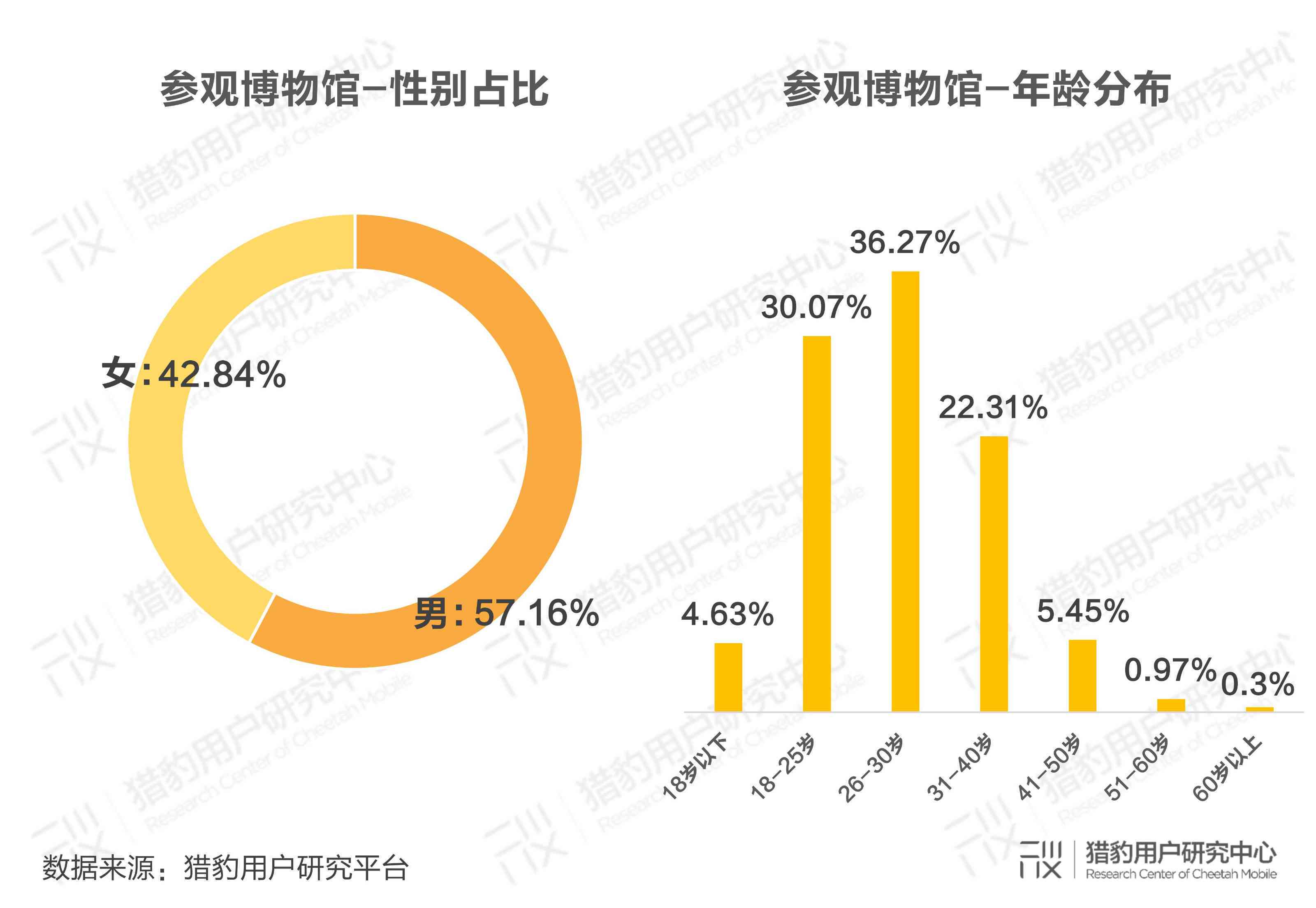 探究玉头形状之争：圆型与长型的审美差异与实用价值