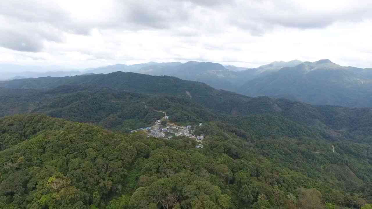 探索普洱茶之源：麻黑山头的产地及其独特魅力