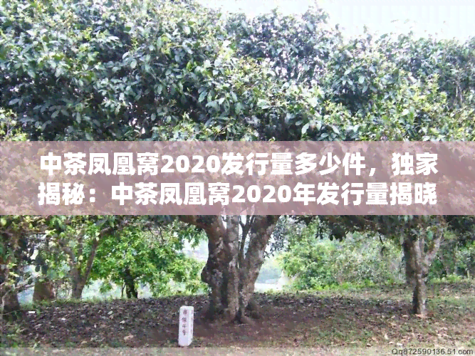 中茶2020年凤凰窝普洱茶：品种特点、制作工艺、品鉴方法与收藏价值全面解析