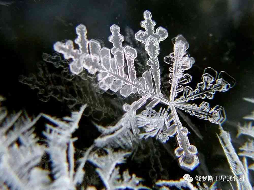 冰花雪芙蓉绿色品种及意思，冰花雪芙蓉绿色描述，冰花芙蓉玉属于什么种类。