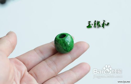 翡翠细豆的种植技巧、品种特点及颜色选择：全面了解翡翠细豆的各个方面