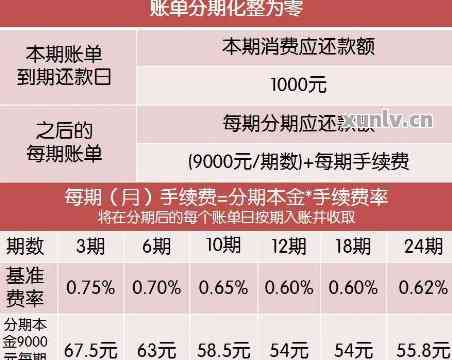 信用卡还款攻略：了解1号账单日如何避免逾期