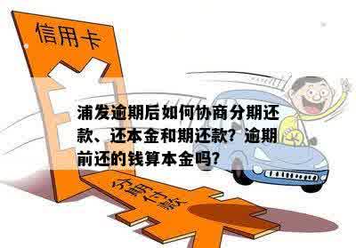 信用卡逾期：无力偿还？协商只还本金流程与解决办法