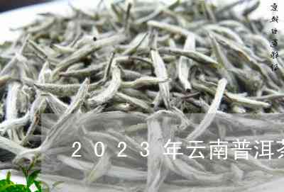 云南普洱茶2023年价格表