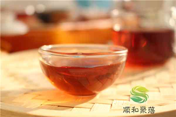 普洱茶价格指南：探究今年最昂贵的普洱茶种类、产地及品质