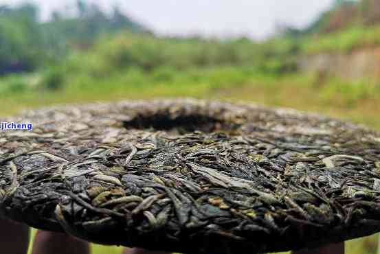 从云南普洱茶产地到广州芳村，茶叶运输时间及物流方式全面解析