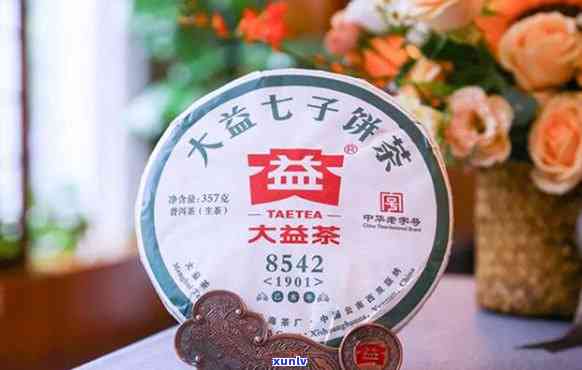 大益普洱茶7742号的特点与解析：一款值得品鉴的经典茶品