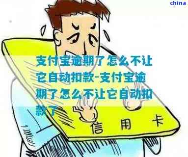 支付宝逾期信用卡付款