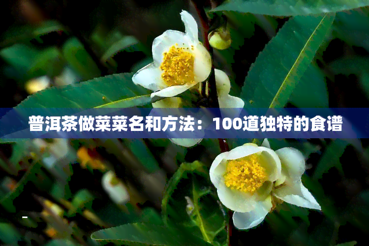 普洱茶做菜菜名和方法：100道创意菜谱，让你回味无穷