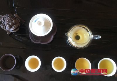 优质无极茶叶：高性价比普洱茶体验之旅