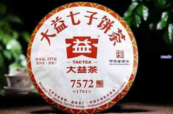 8592大益普洱茶八十年代：经典熟茶的魅力与价格解析