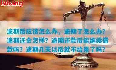 还款日已过4天，我该怎么办？逾期还款的补救措与解决方案