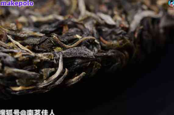 普洱茶虫眼问题：真相揭秘，是否影响品质与健？