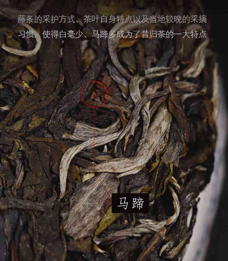 陈年普洱茶昔归古树：岁月沉淀的韵味与传承