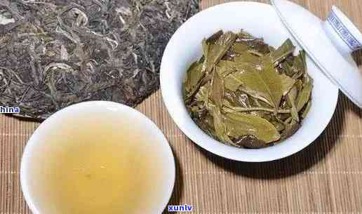 冰岛糯茶：品种特点、泡法与口感详解，让你全面了解这种神奇饮品